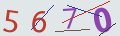 verifycode